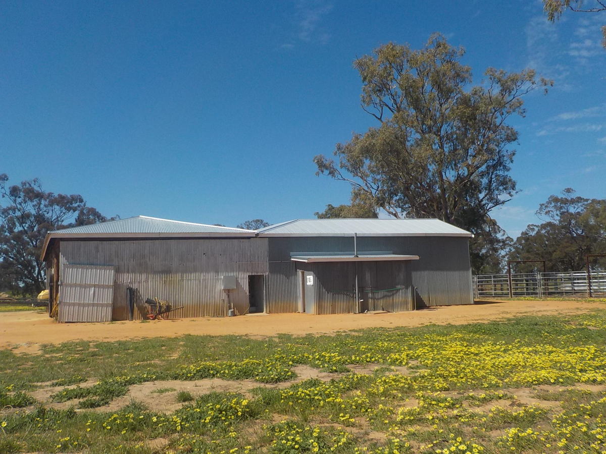 Full re roof at Gwabegar NSW of main homestead cottages&sheds—Renovation in NSW