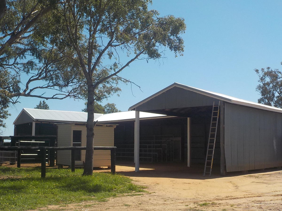 full re roof at Gwabegar NSW of main homestead cottages&sheds—Renovation in NSW